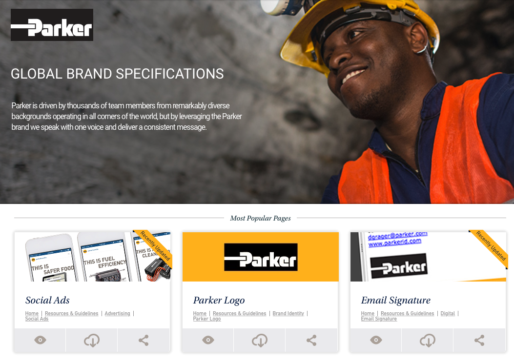 BRAND GUIDELINES PARKER DISTRIBUTOR